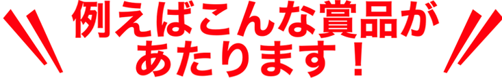 例えばこんな商品があたります！